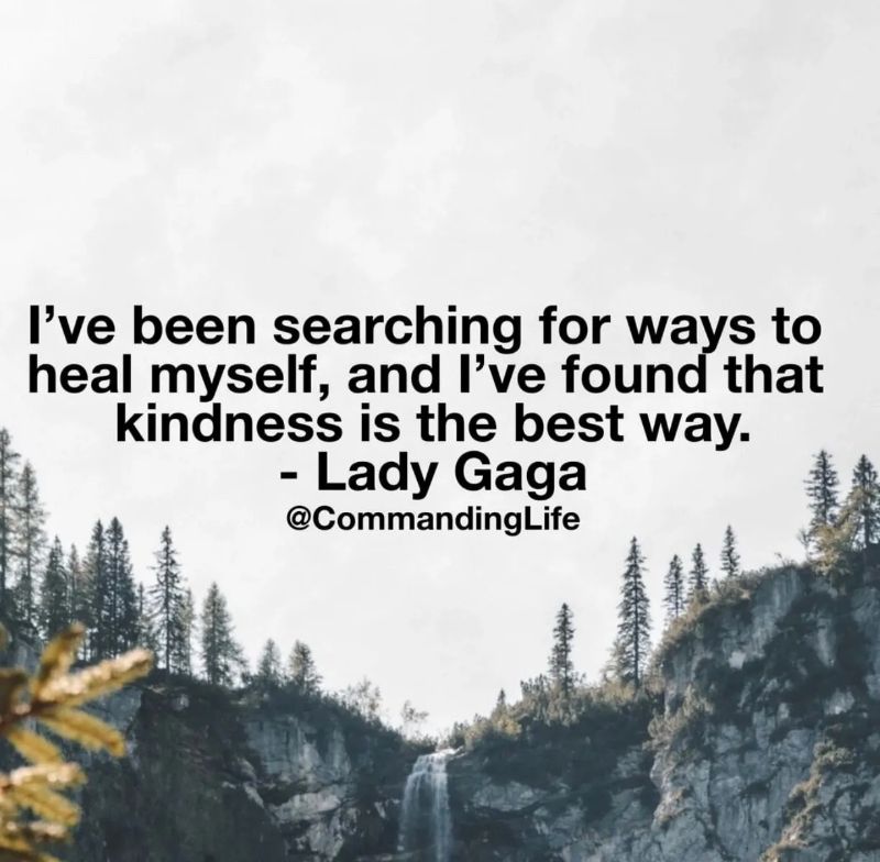 Seek Kindness!